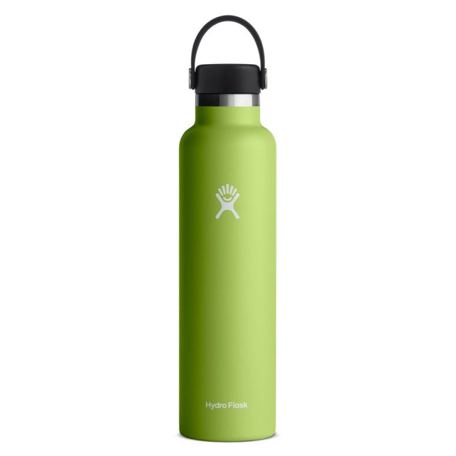 Hydro Flask 24 Oz Standard Mouth - Rain Seagrass