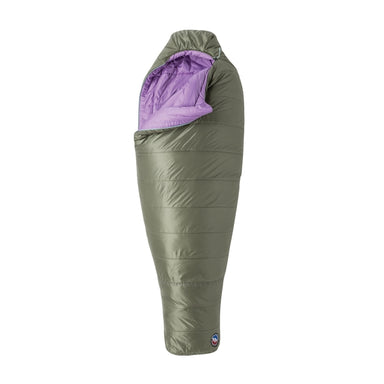 Big Agnes Anthracite 30 (Fireline Pro Recycled) Lichen Green/African Violet