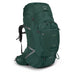 Osprey Packs Aether Plus 100 Axo Green