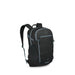Osprey Packs Axis 24 Black-Shale Grey