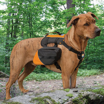 Kurgo Big Baxter Dog Pack | Large Size - Gear For Adventure